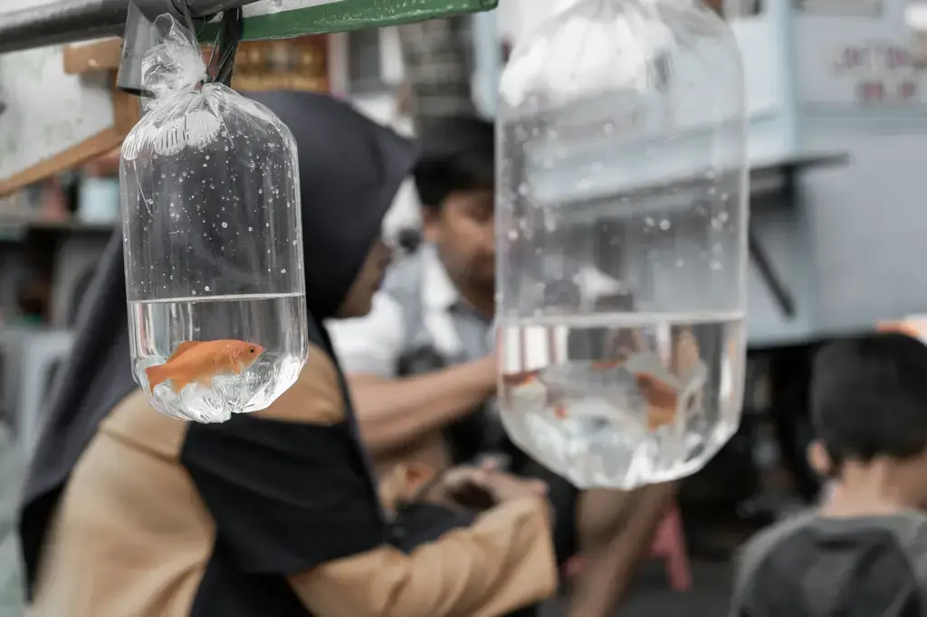 台灣海洋生物天堂：品魚園水族世界
